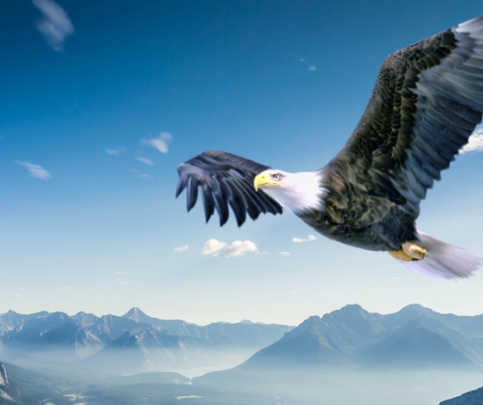 开元游戏大厅app·(中国集团)官方网站