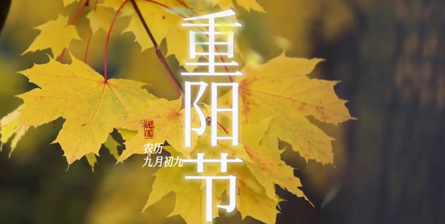 开元游戏大厅app·(中国集团)官方网站