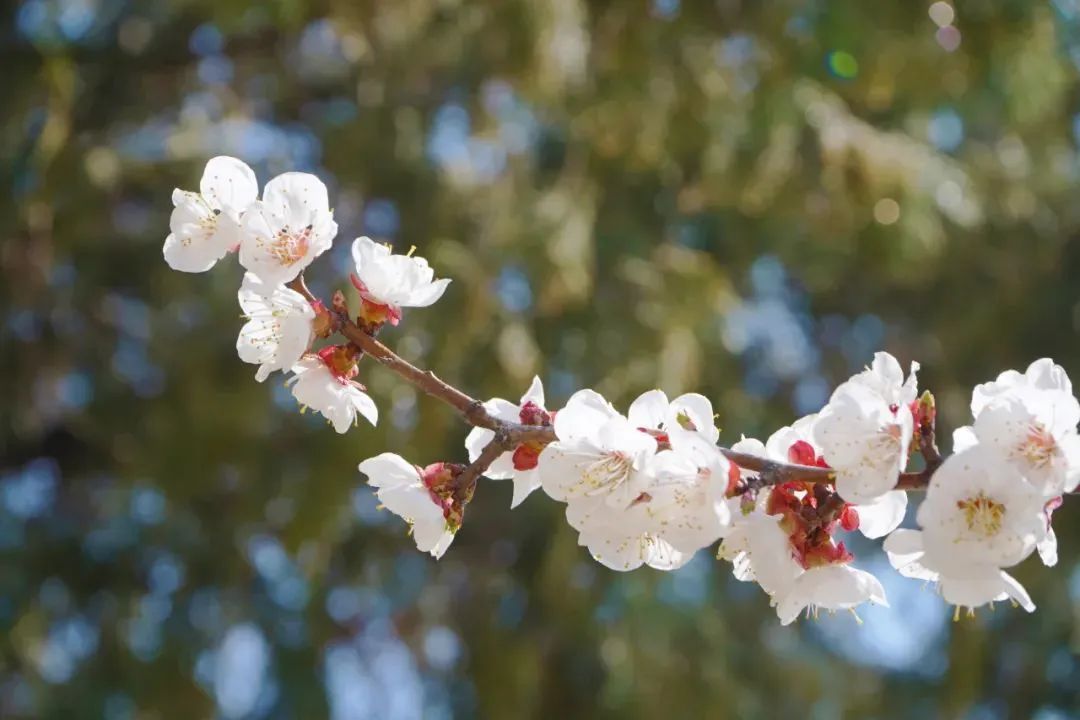 开元游戏大厅app·(中国集团)官方网站