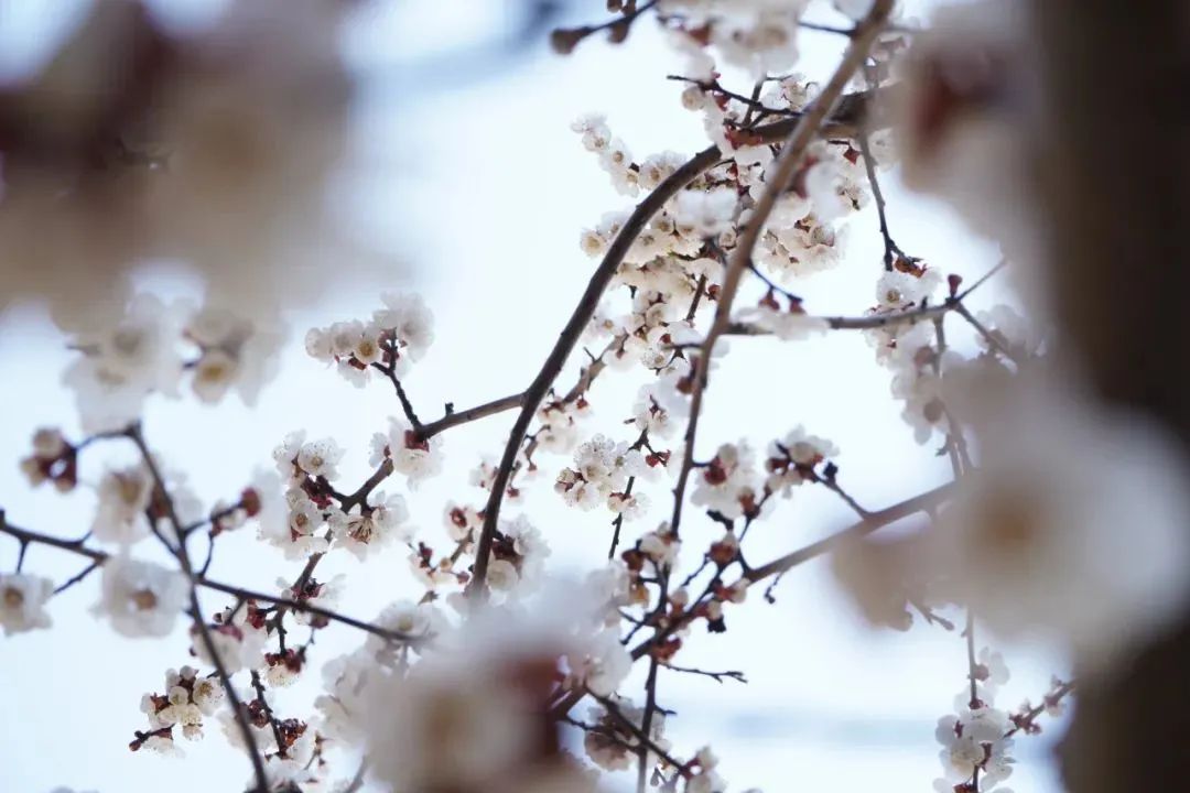 开元游戏大厅app·(中国集团)官方网站