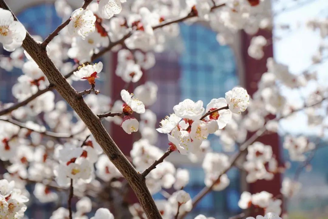 开元游戏大厅app·(中国集团)官方网站