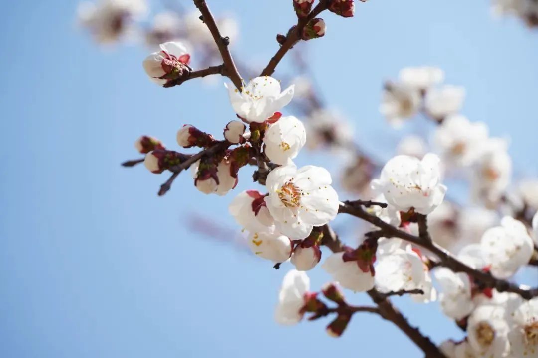 开元游戏大厅app·(中国集团)官方网站