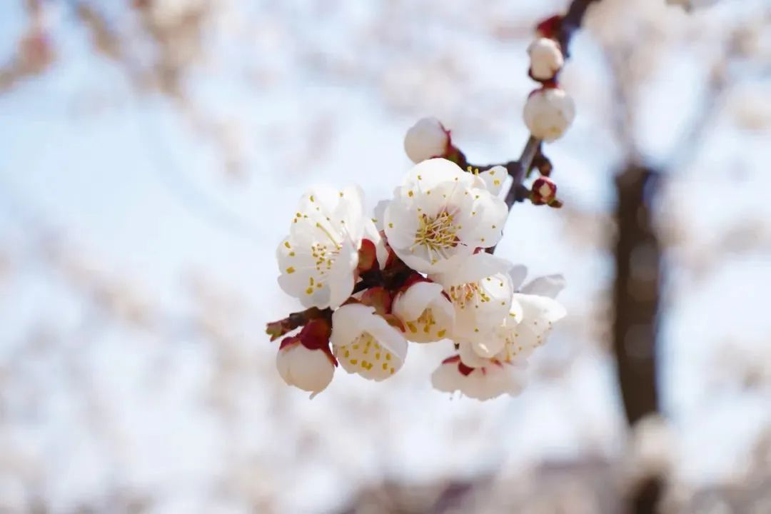 开元游戏大厅app·(中国集团)官方网站