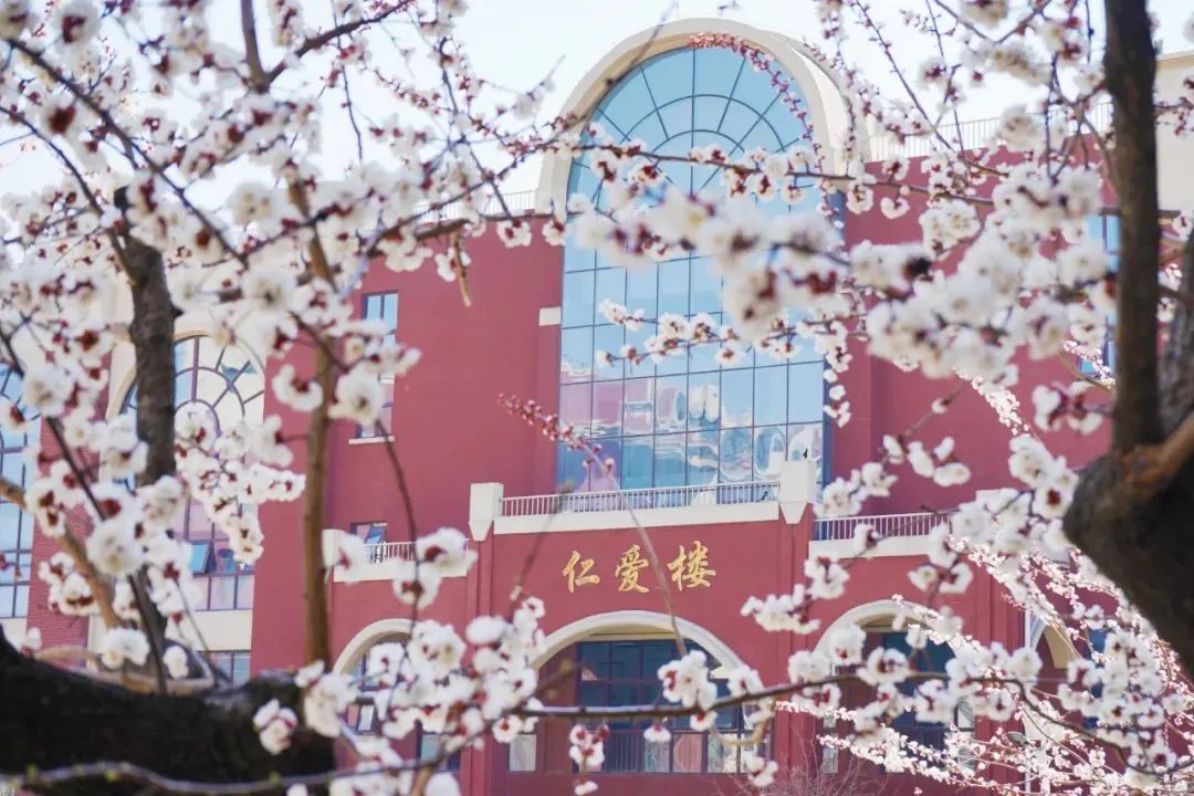 开元游戏大厅app·(中国集团)官方网站