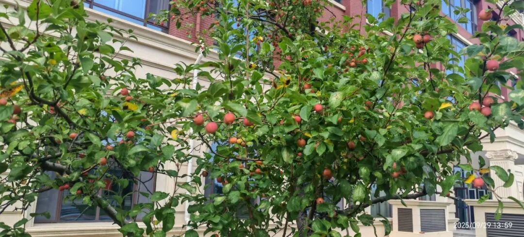 开元游戏大厅app·(中国集团)官方网站